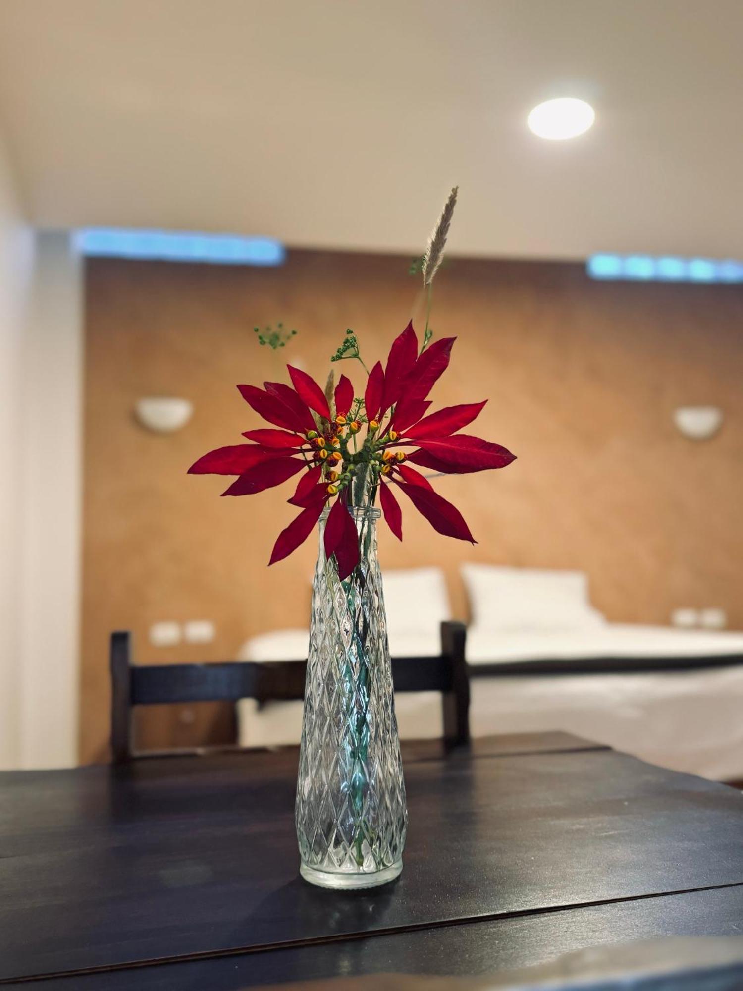 Apartment The Yoga Urubamba
